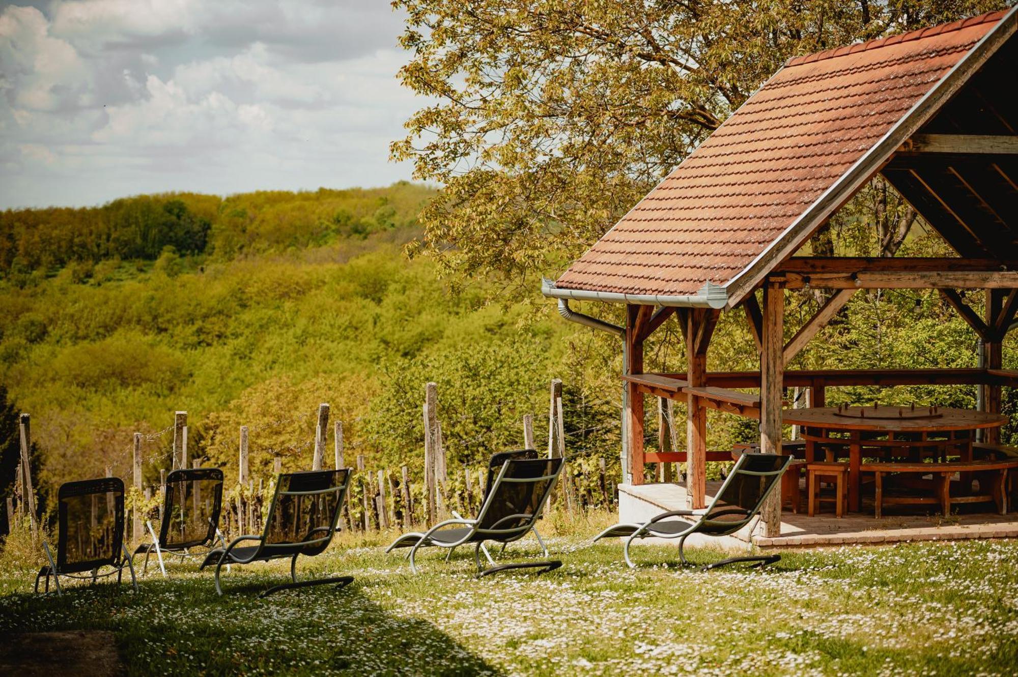 Foerhenc Wine House & Guesthouses I-Ii-Iii Nagykanizsa Ngoại thất bức ảnh