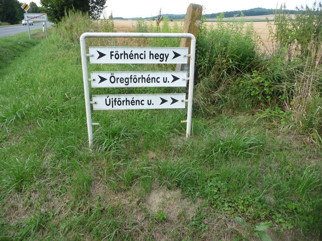 Foerhenc Wine House & Guesthouses I-Ii-Iii Nagykanizsa Ngoại thất bức ảnh